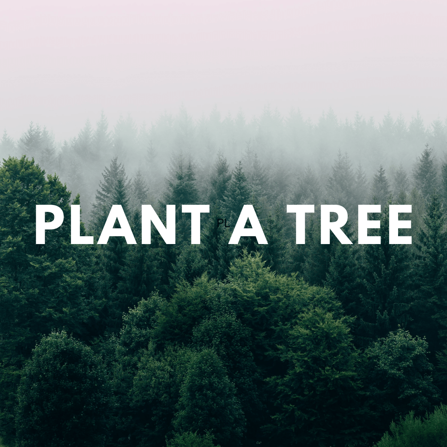 plant a tree